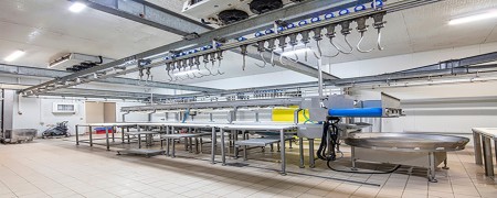 Matadero Despiece